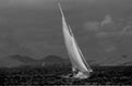 Sailboat Infrared by Vallarie Enriquez